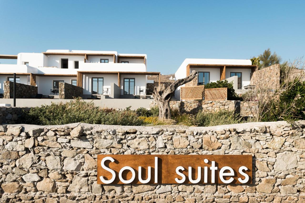 Mykonos Soul Luxury Suites (Adults Only) آغيوس ستيفانوس المظهر الخارجي الصورة
